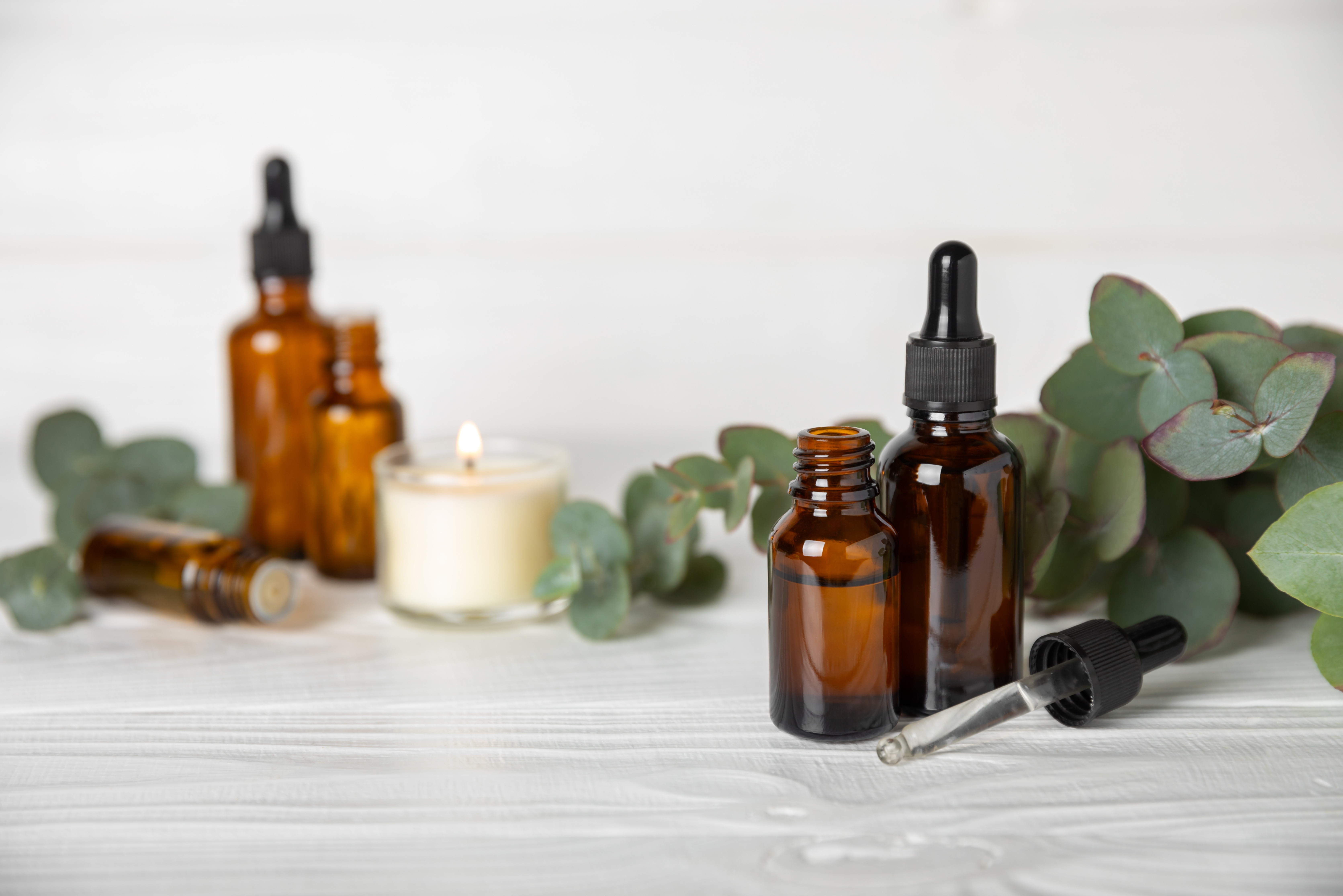 DIY Poison Ivy Relief: Natural Soothing Blend AdobeStock 722195677