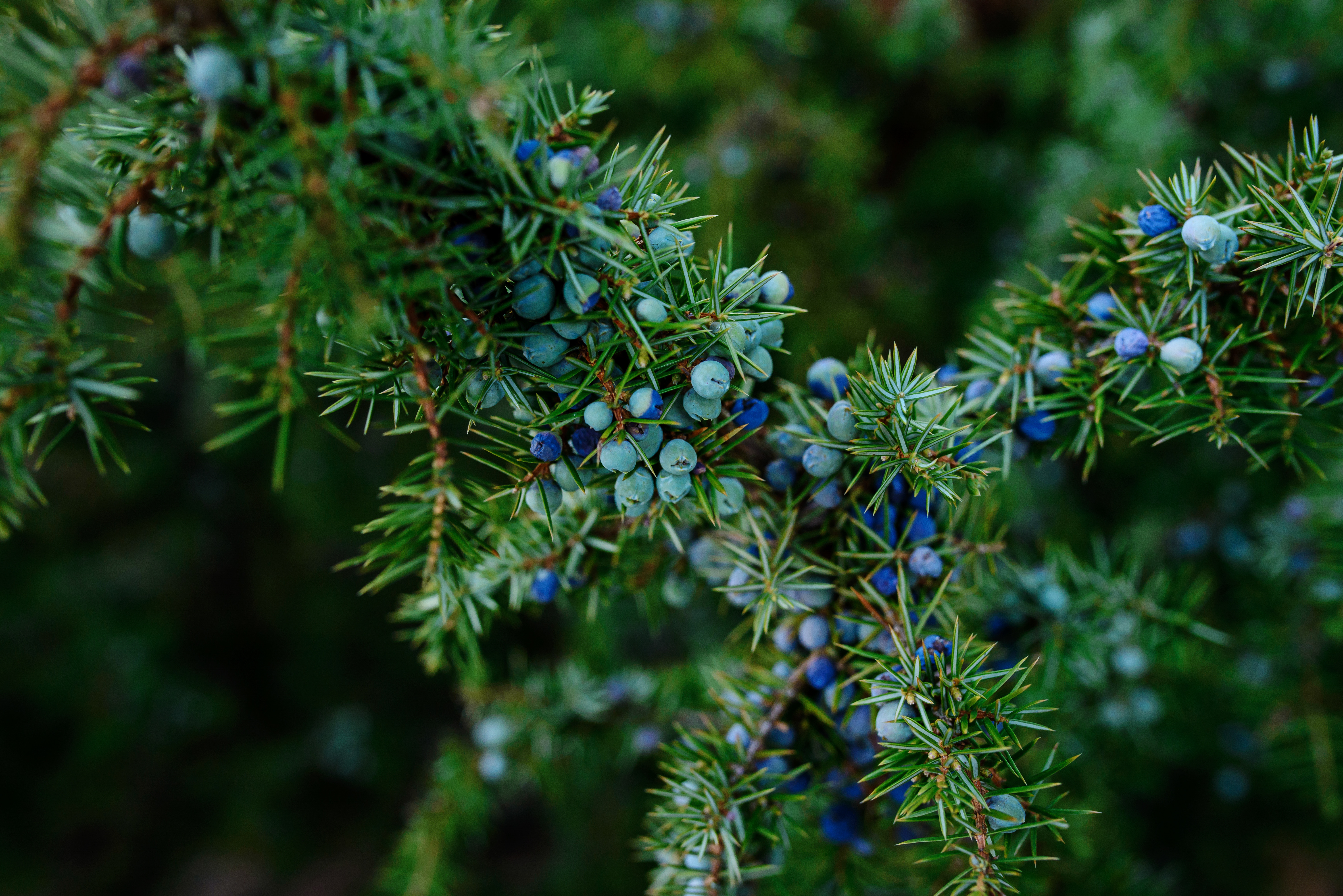 AdobeStock 189632449