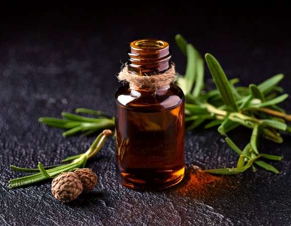 Effective Uses of Cajeput Essential Oil for Pain Relief