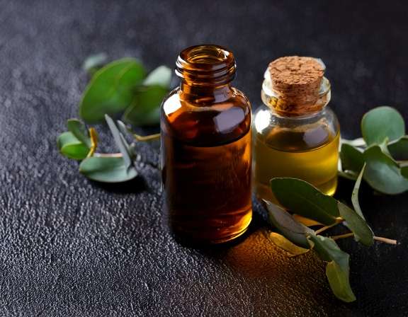 5 Eucalyptus Essential Oil Recipes for Sore Muscles