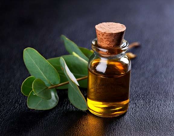 Top 5 Eucalyptus Oil Cleaning Recipes You Can Try