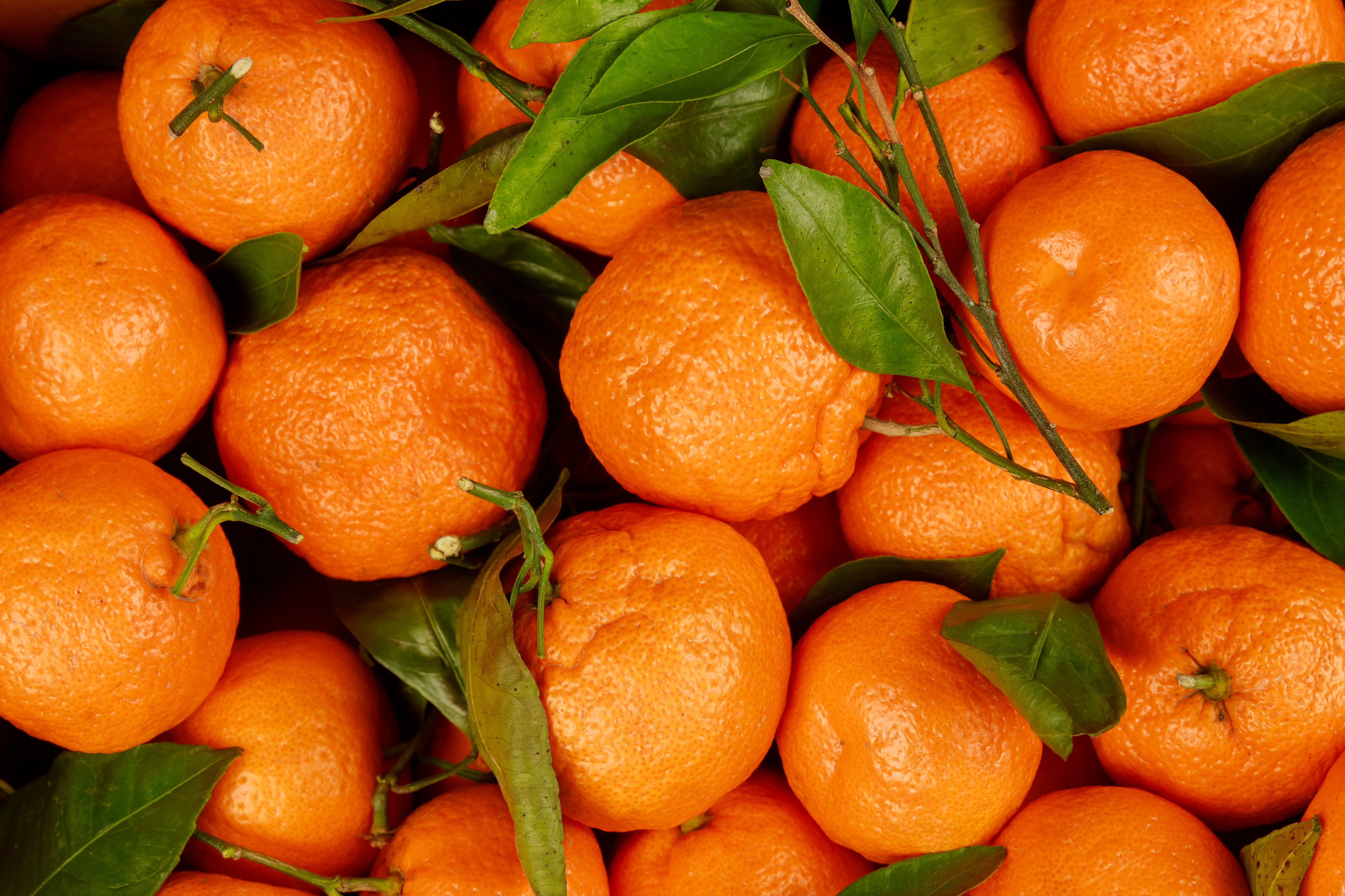 DIY Uplifting Citrus Room Spray Recipe AdobeStock 315374319