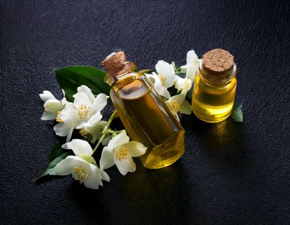 Jasmine Essential Oil: A Natural Calm Amidst Stress