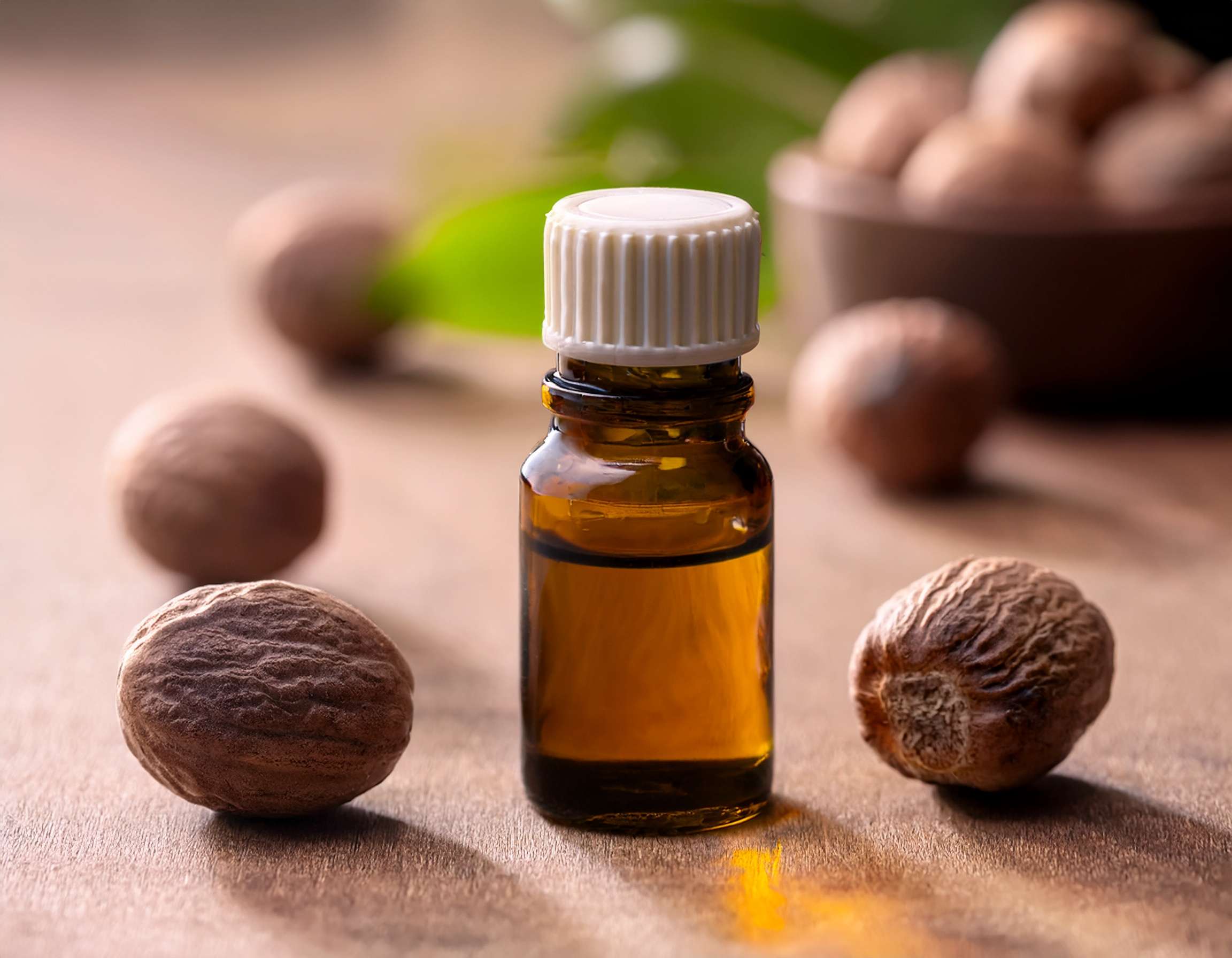 Firefly Generate An Image Of Nutmeg Essential Oil Concept Use In Alternative Medicine 702155