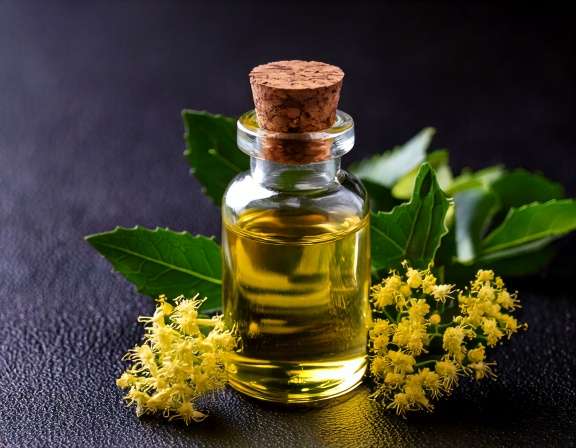Niaouli Essential Oil: Natural Remedies for Common Ailments