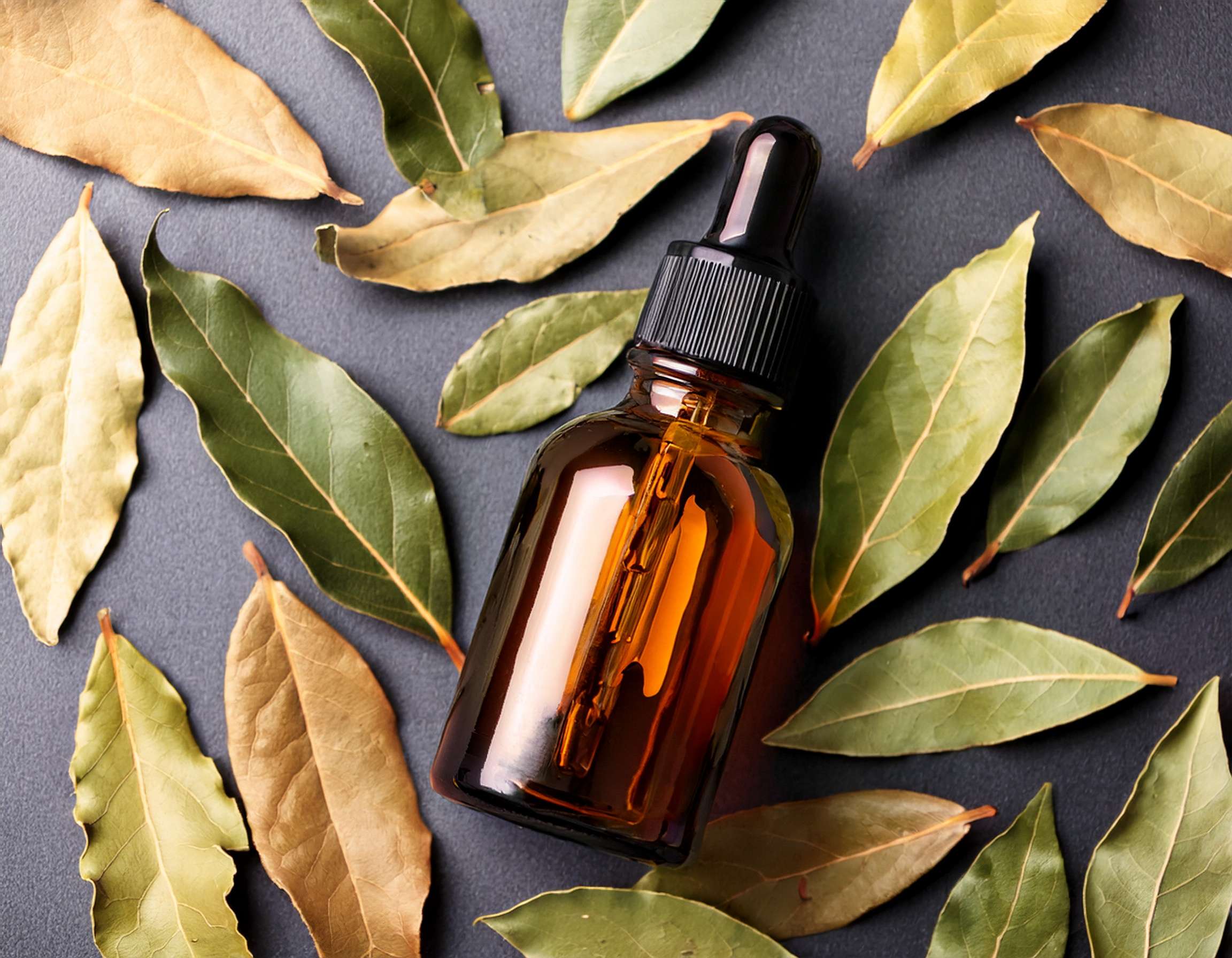 Firefly Generate An Image Of Bay Laurel Essential Oil Aromatherapy Concept Flat Lay With Dr 561657