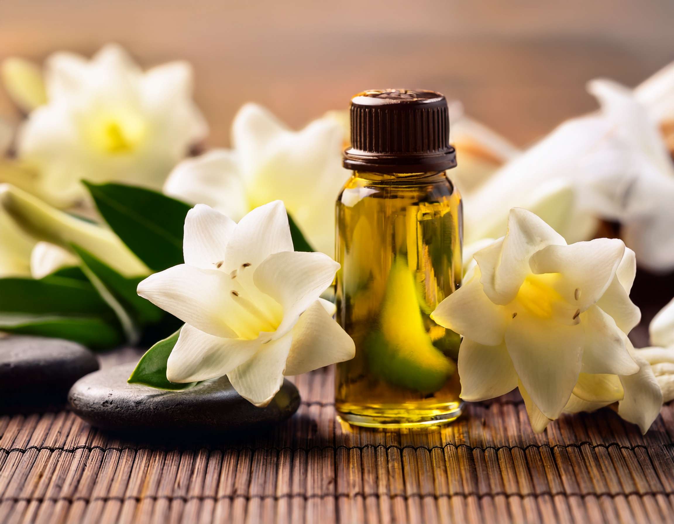 Top 10 Essential Oils for Menopause Relief Firefly Generate An Image Of Tuberose Essential Oil Aromatherapy Concept Spa Organic Cosmet 770966