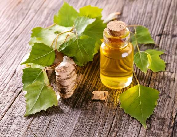 Firefly Create An Image Of Birch Essential Oil Aromatherapy Concept 546375