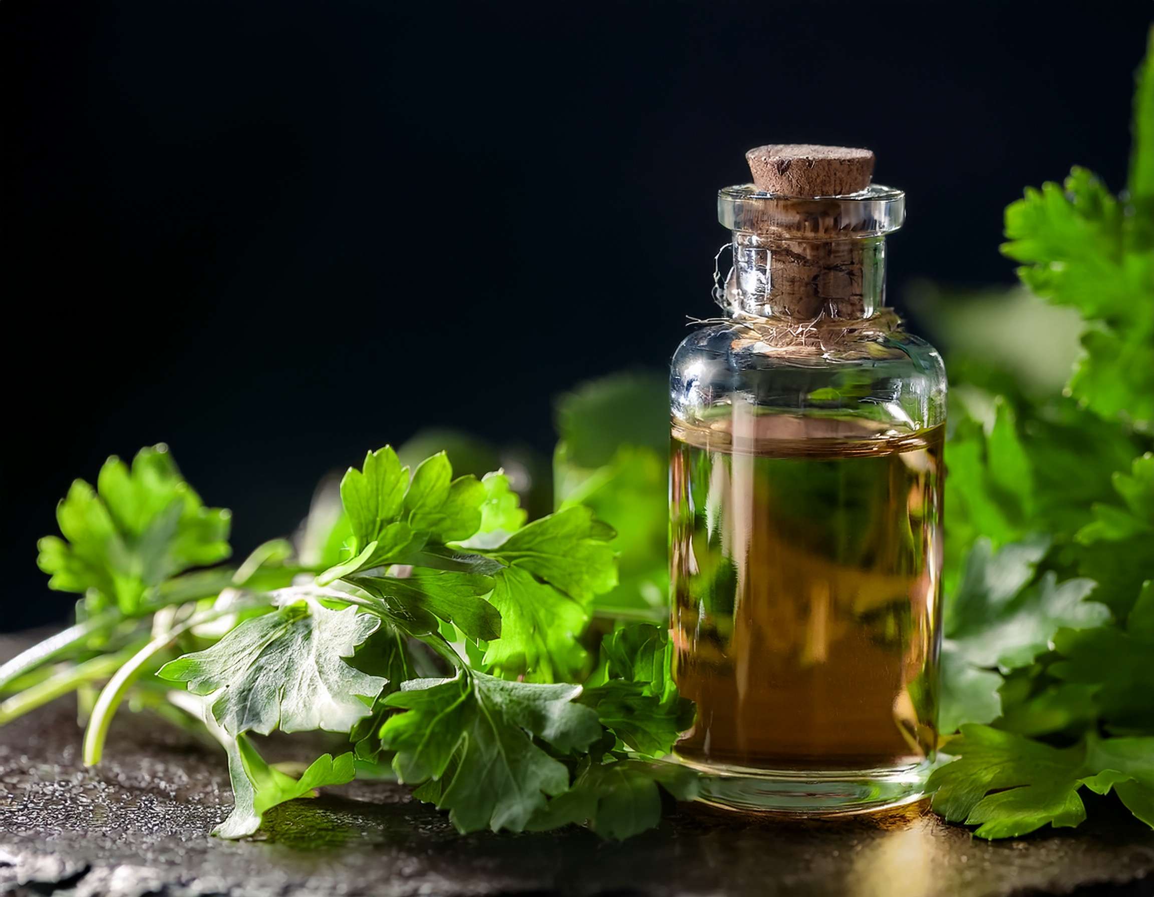 Bug-Repellent Essential Oil Sprays for Porches and Patios