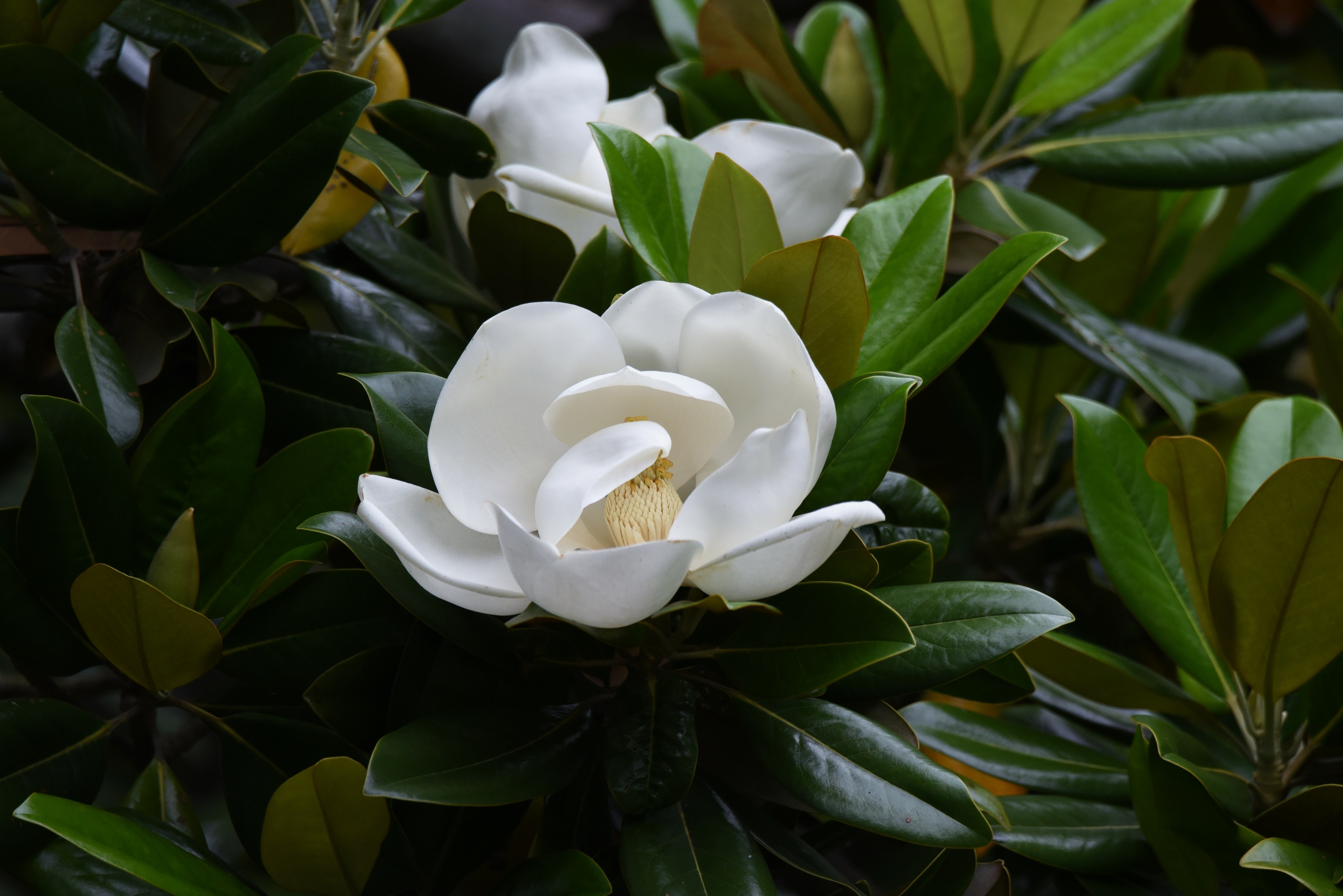 AdobeStock 358185998