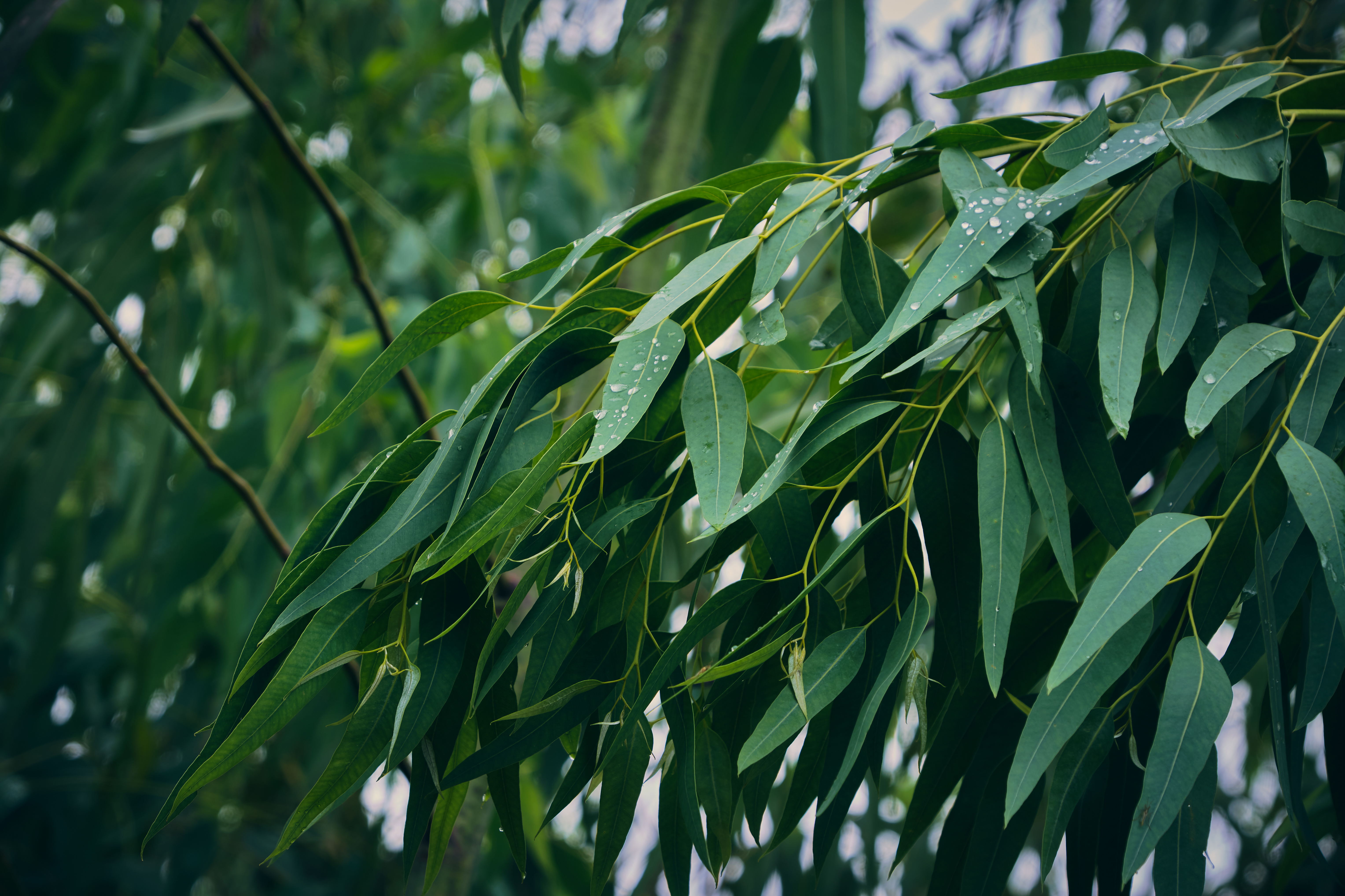 AdobeStock 396793876