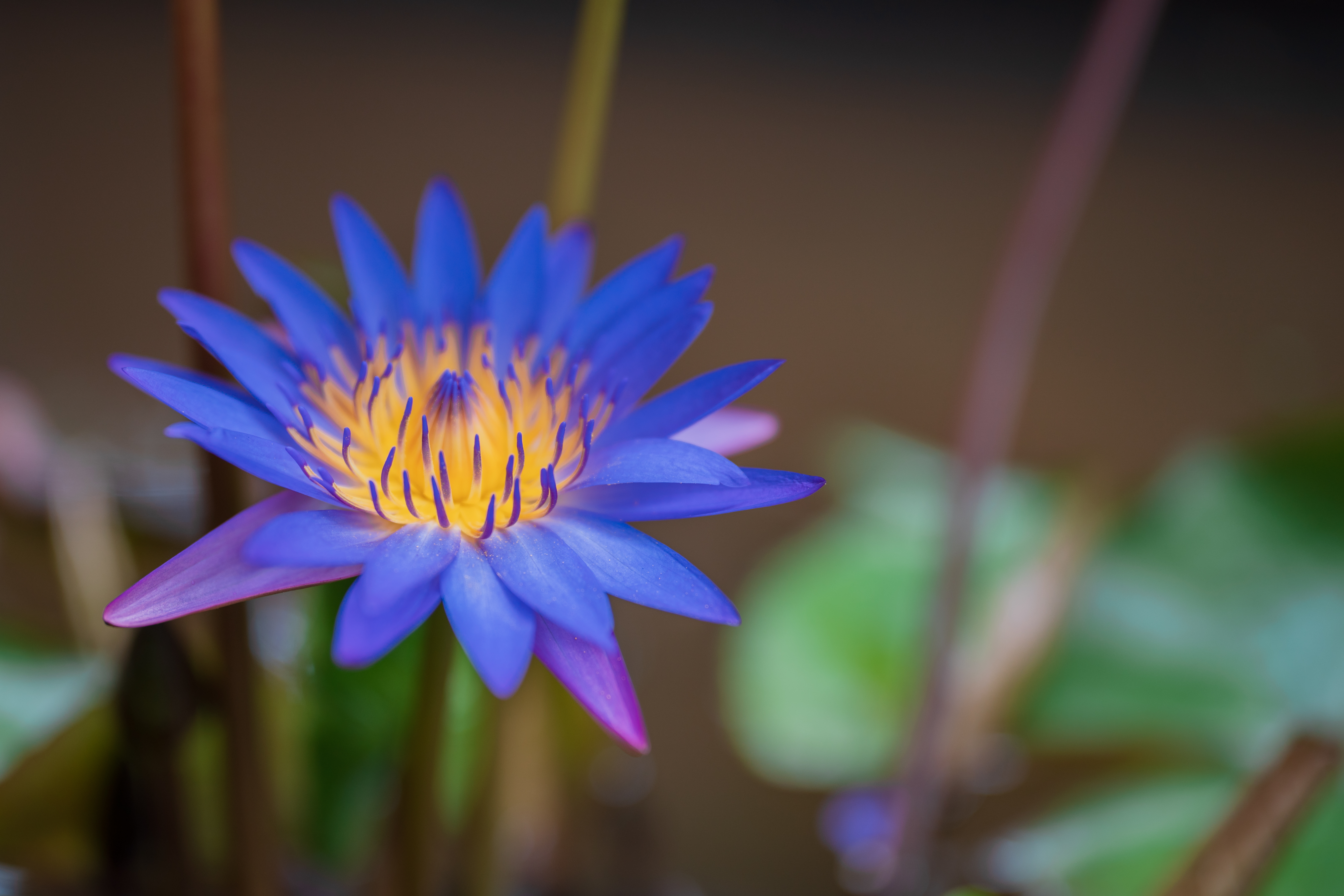 AdobeStock 489900491