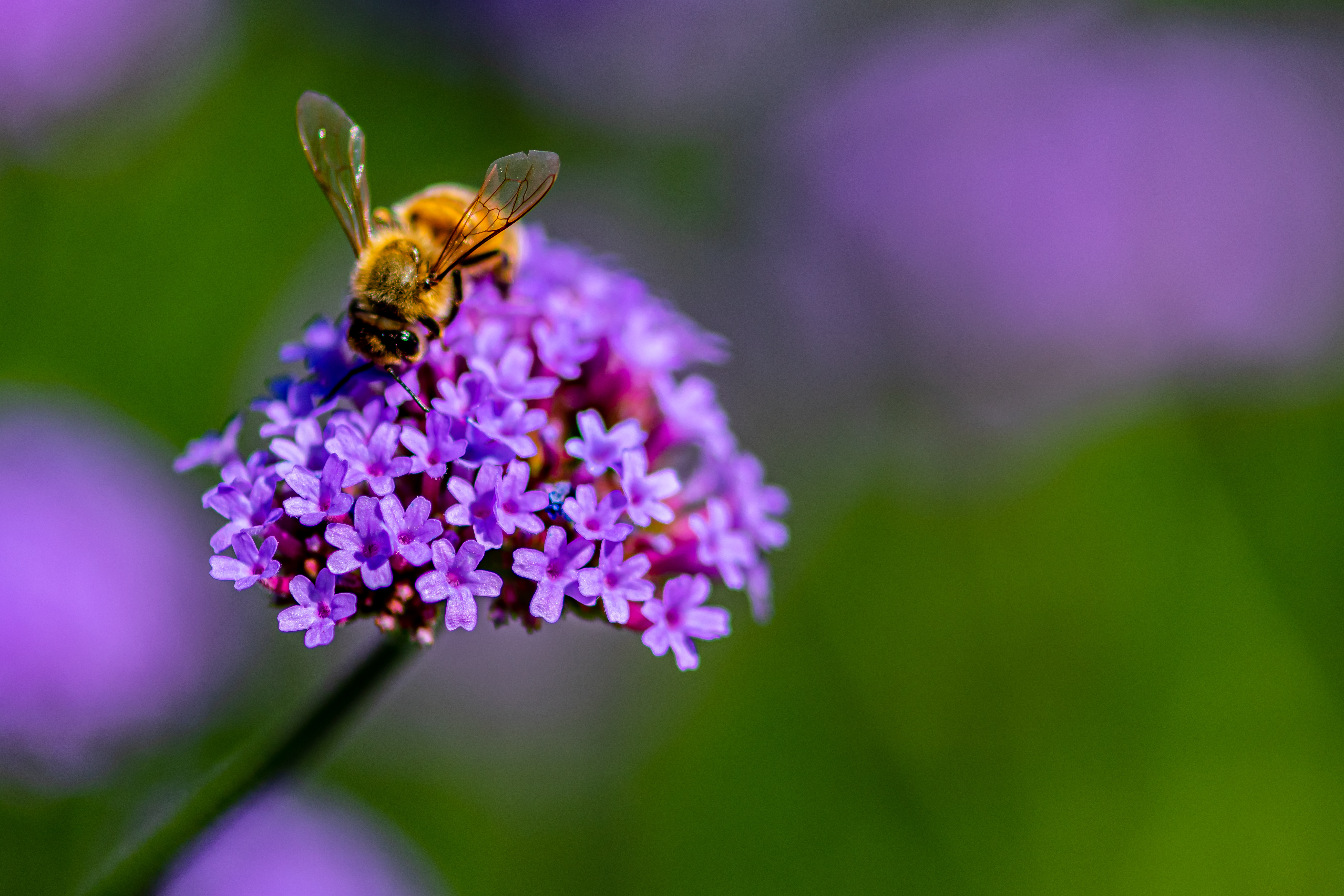 Adobestock 373386194 93072f1880b5270ca1b0