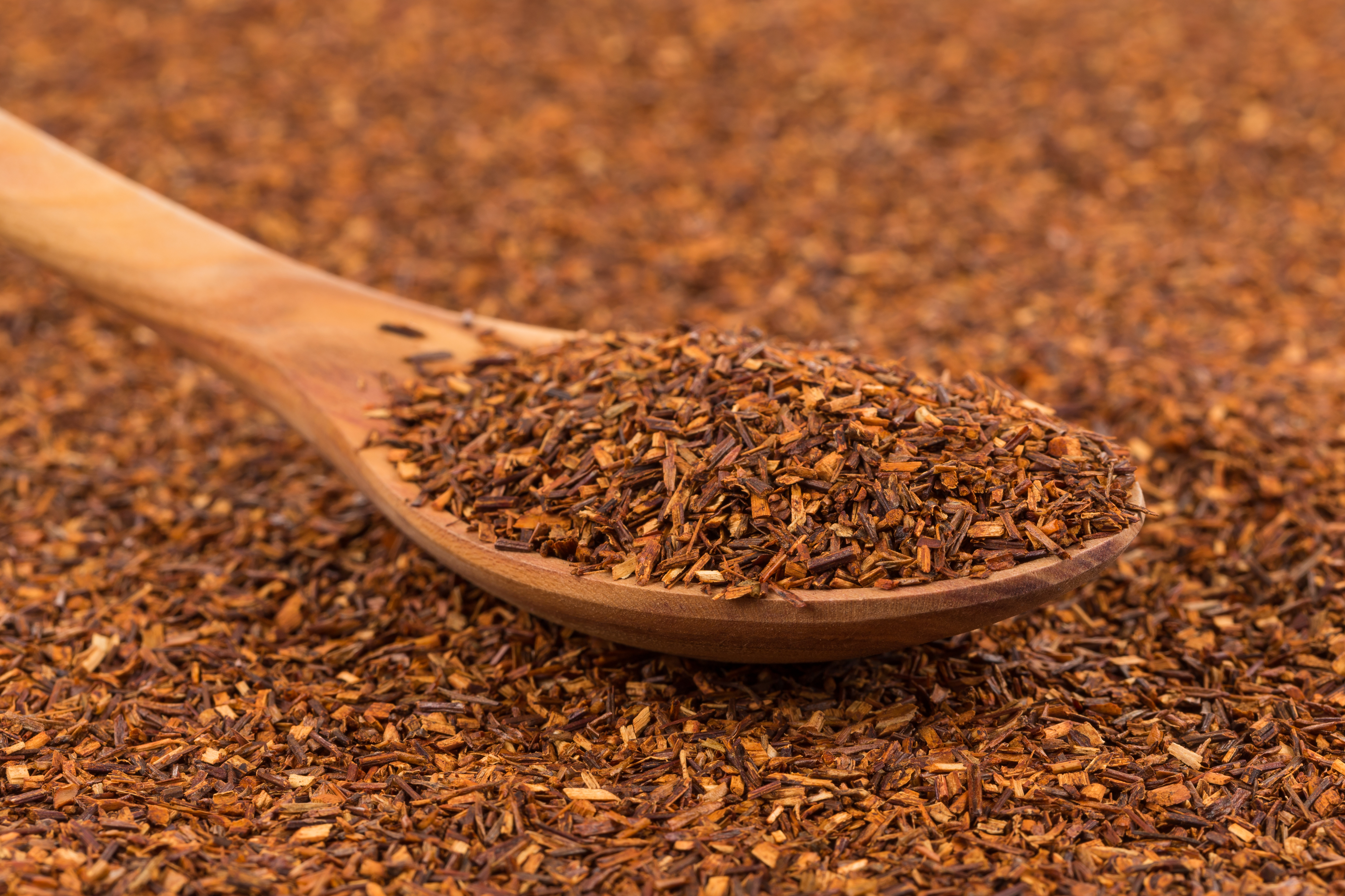 Rooibos Herbal Tea: Digestion and Sleep Support AdobeStock 184239810