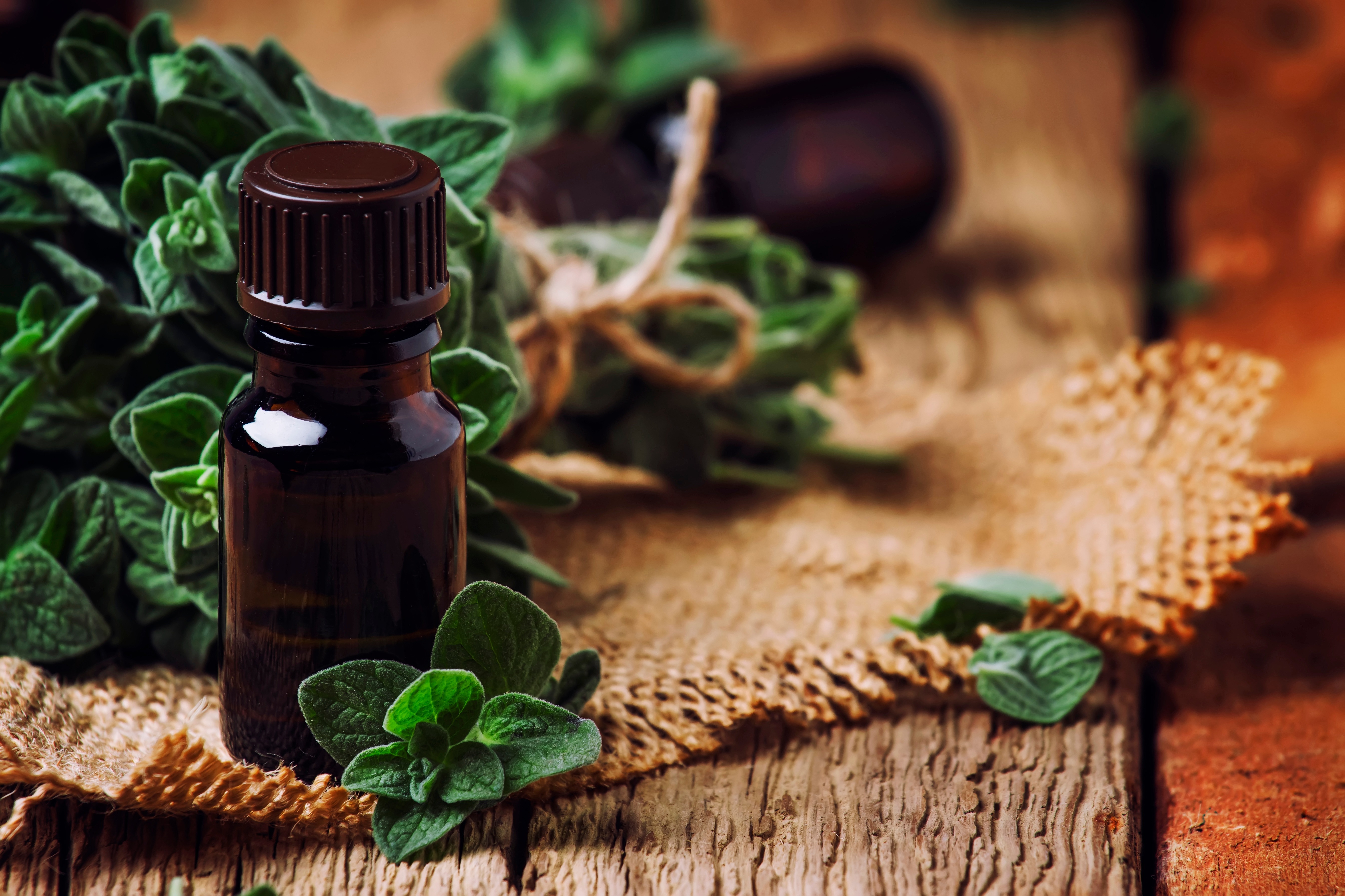 Oregano Essential Oil: Immune Support Explained AdobeStock 188894300