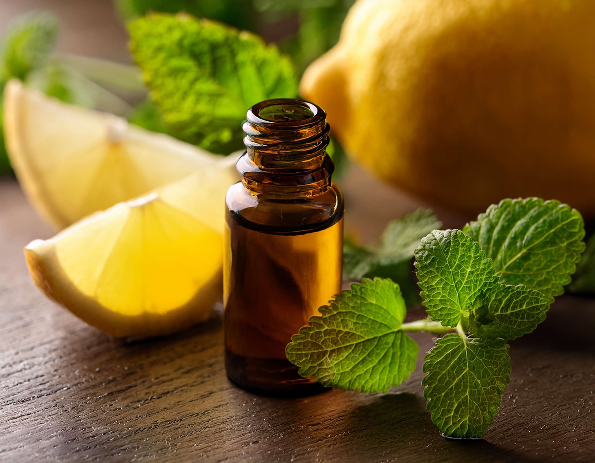 Firefly Generate An Image Of Lemon Balm Essential Oil Aromatherapy Concept 586893