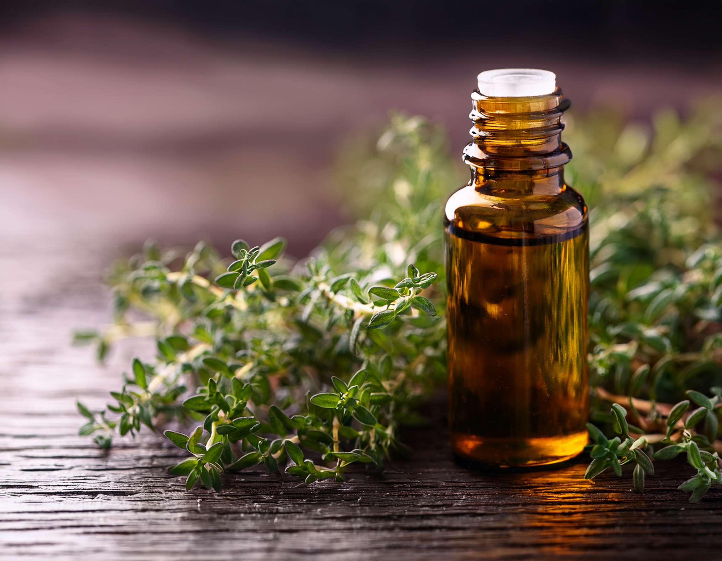firefly create an image of thyme essential oil; aromatherapy focus 252365