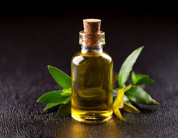 Effective Use of Tea Tree Oil for Nail Fungus Treatment