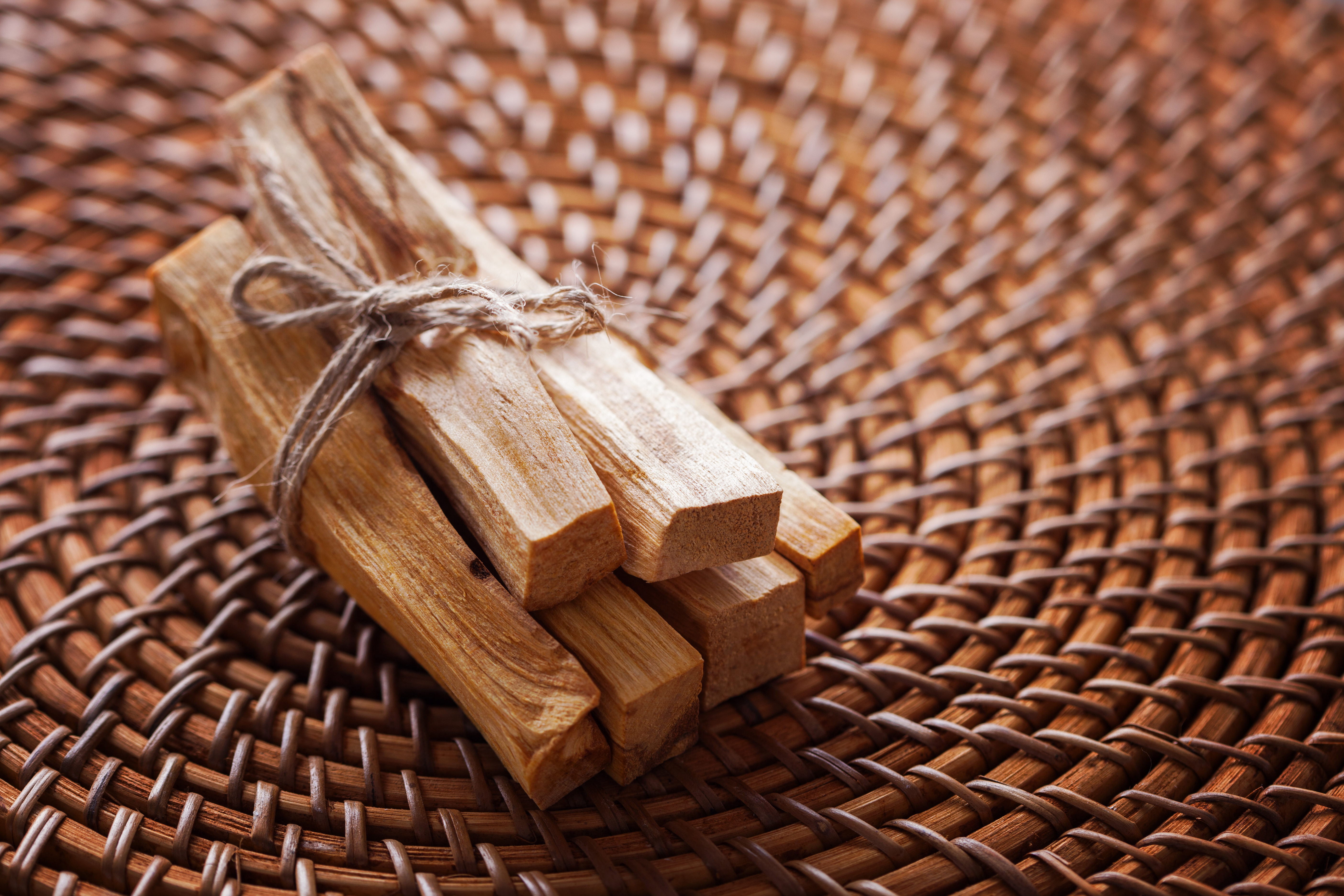 Discover the Benefits of Palo Santo Essential Oil AdobeStock 400063943