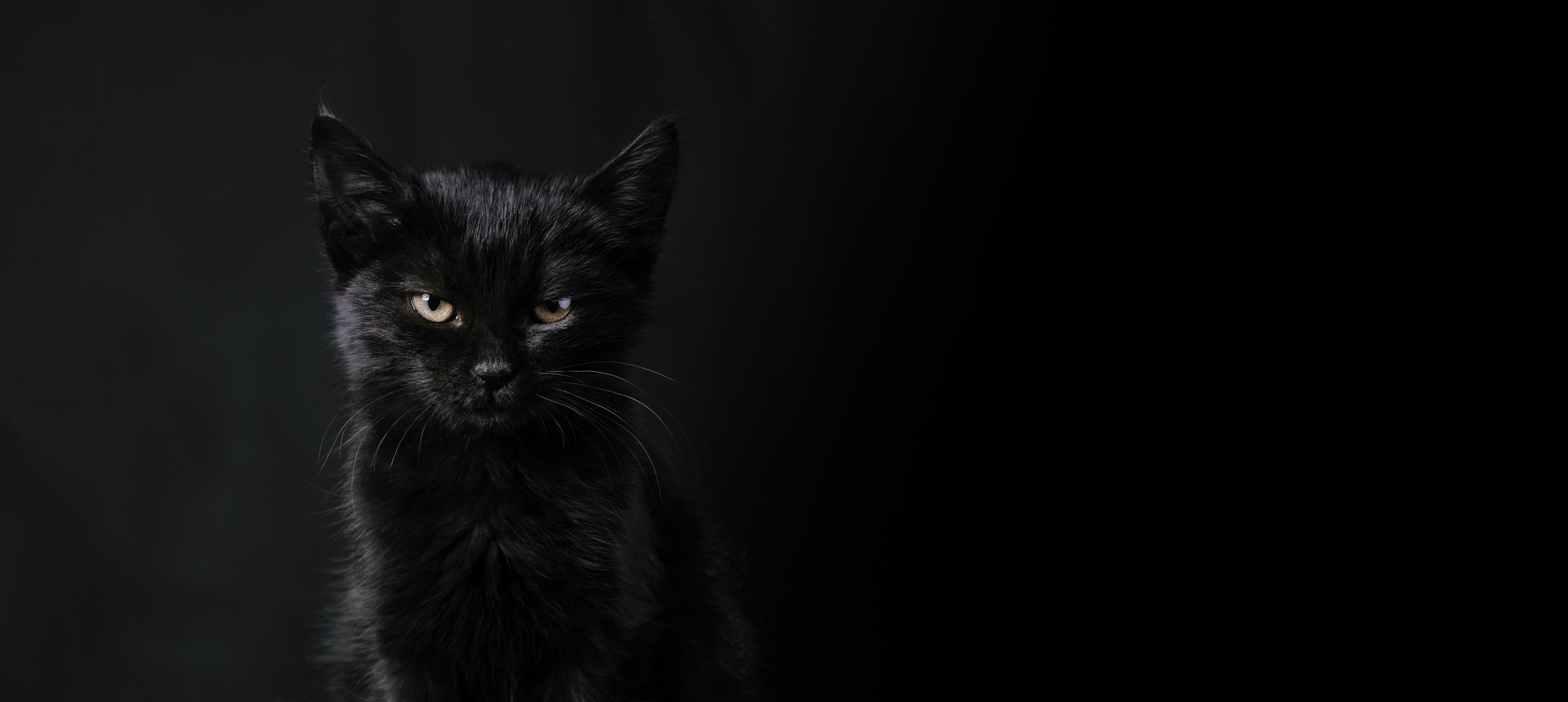 AdobeStock 479388341