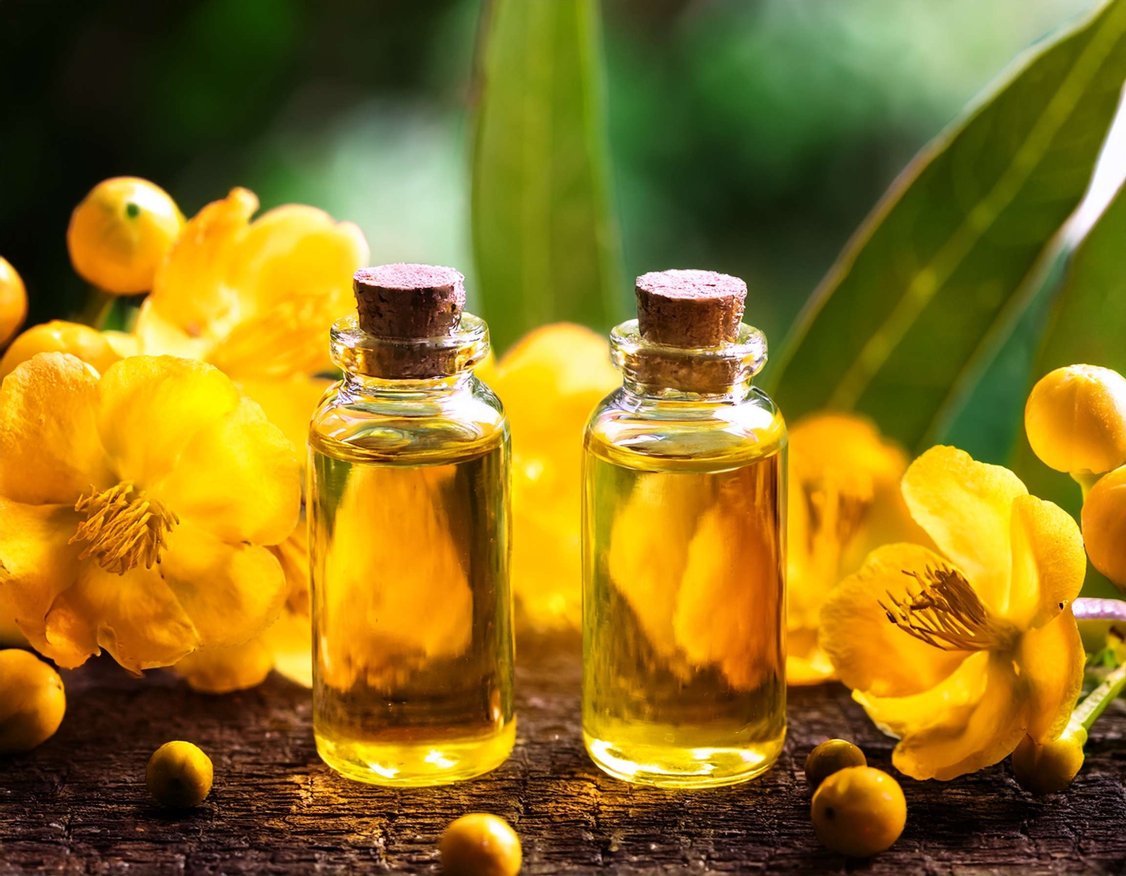 Firefly Generate An Image Of Palmarosa Essential Oil Aromatherapy Concept 593035 2