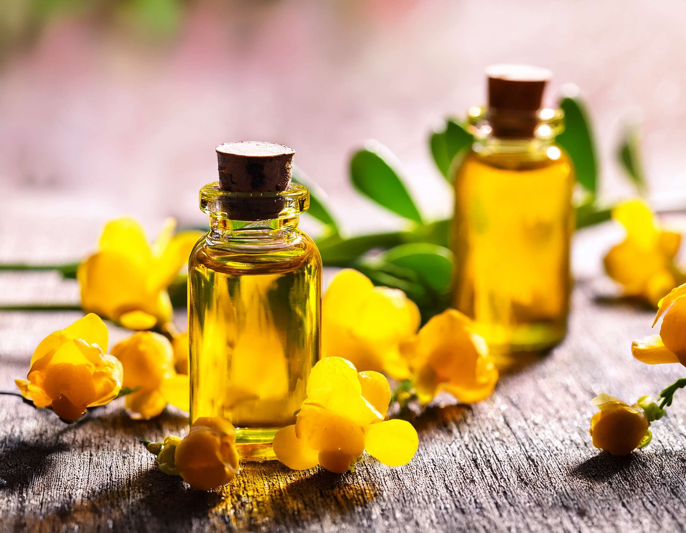 Firefly Generate An Image Of Palmarosa Essential Oil Aromatherapy Concept 593035