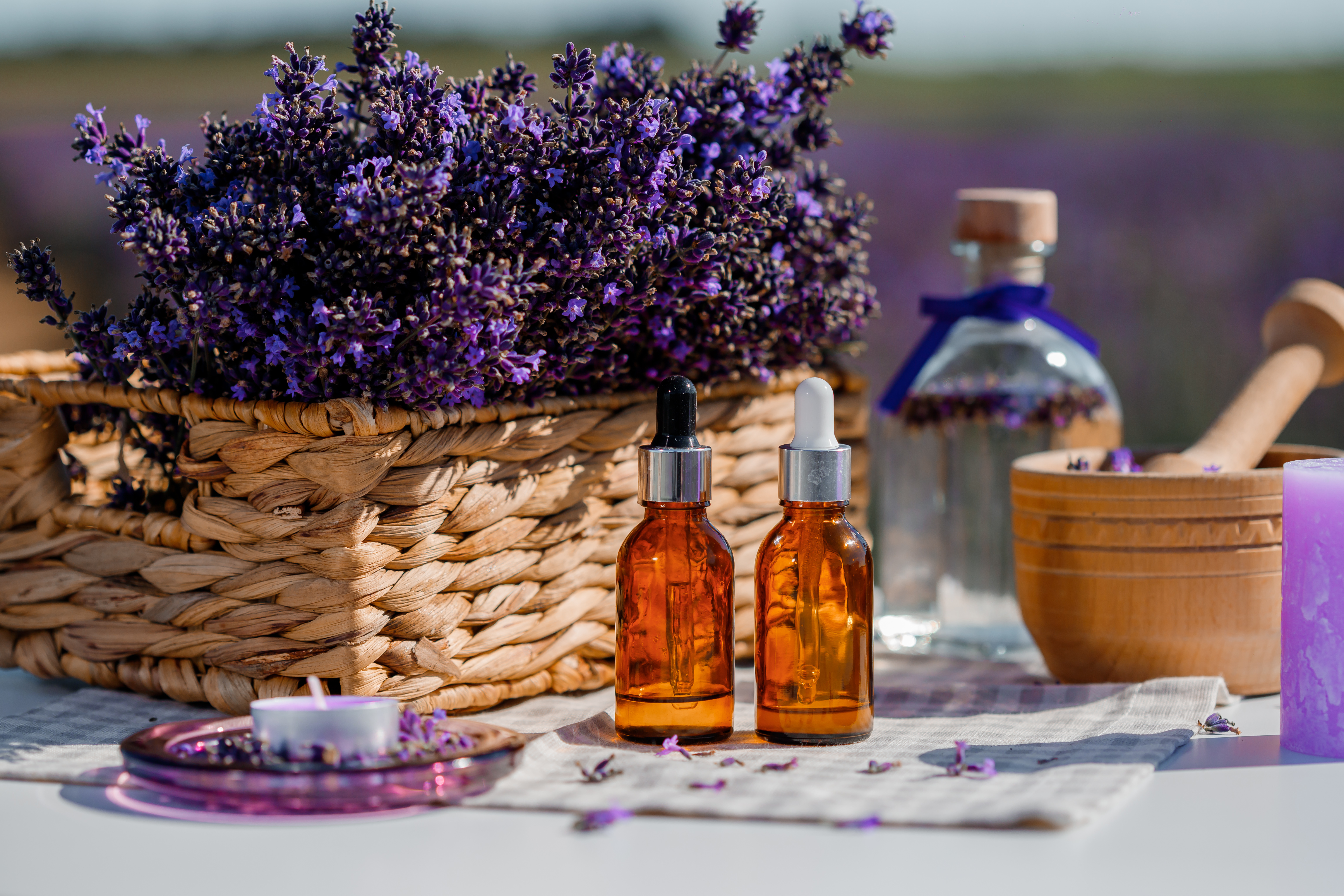Galbanum Essential Oil: Uses, Benefits, and Safety Guide AdobeStock 523245538