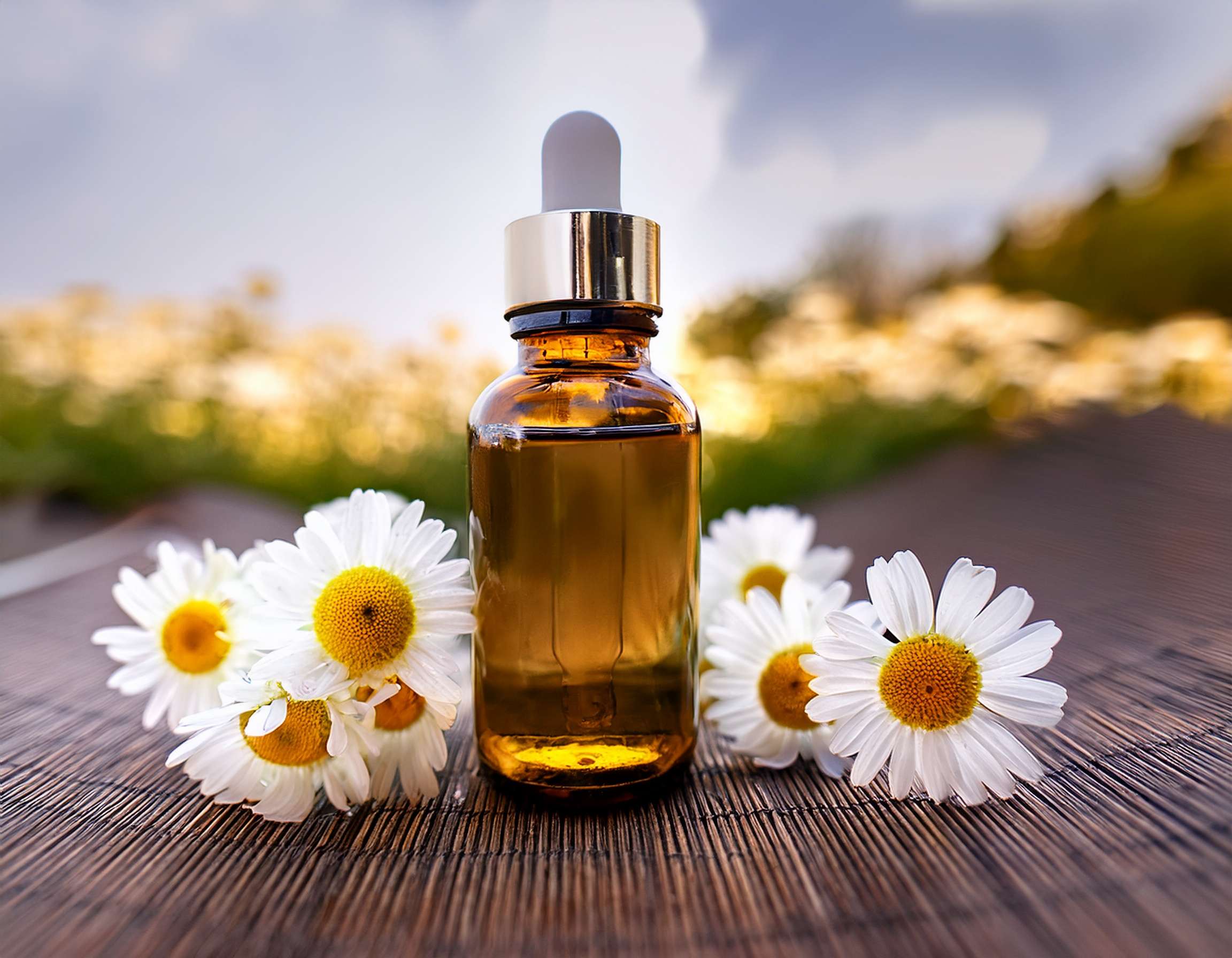 Firefly Generate An Image Of Chamomile Essential Oil Aromatherapy Concept 555406