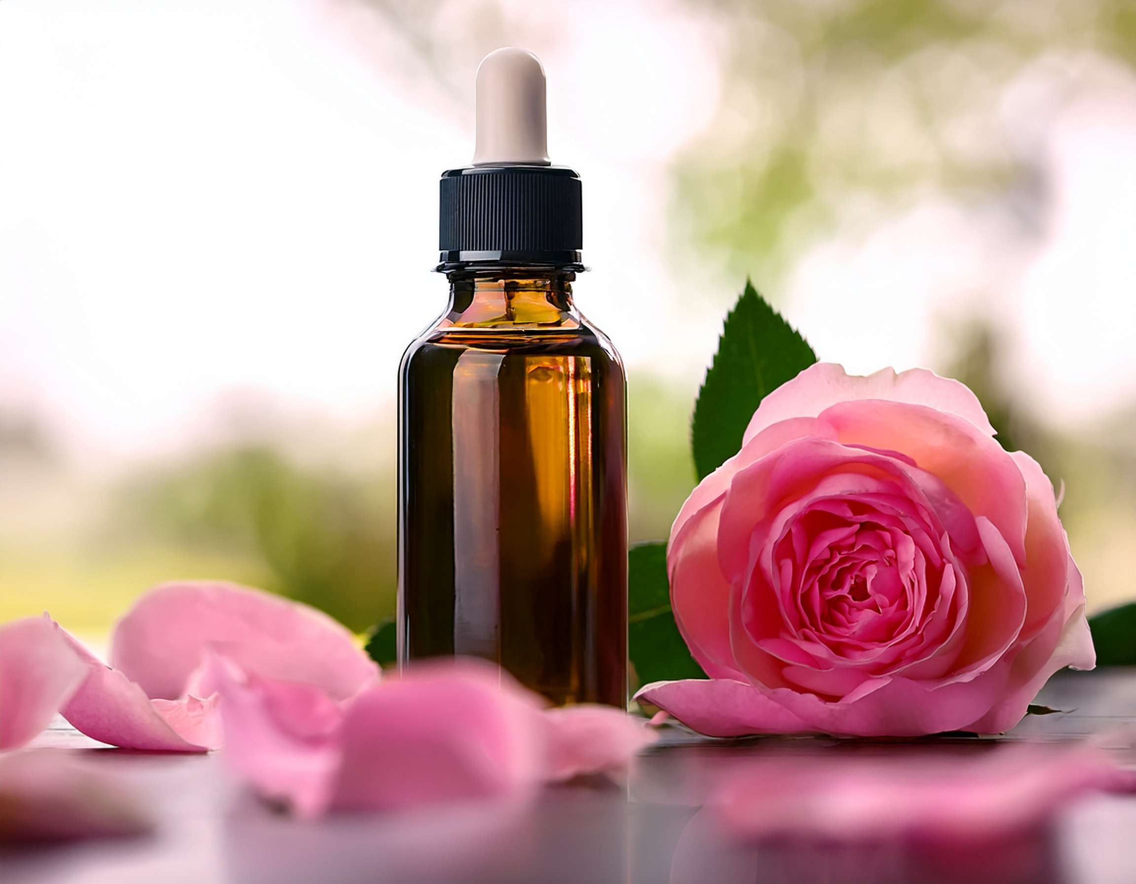 Firefly Create An Image Of Rose Essential Oil 298211