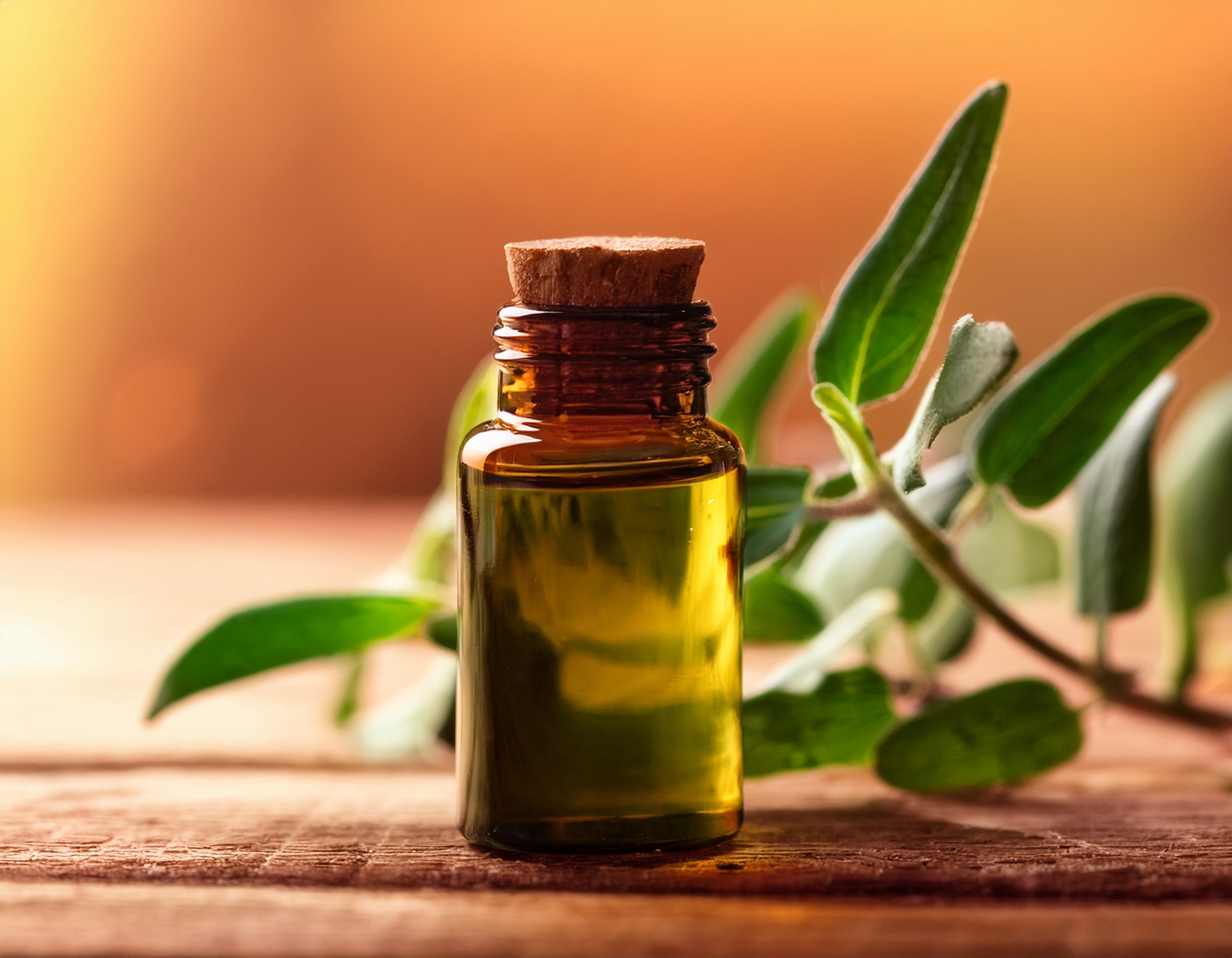 Niaouli Essential Oil: Natural Remedies for Common Ailments Firefly Generate An Image Of A Container Of Niaouli Essential Oil Warm Earth Tone Backgroun 46902