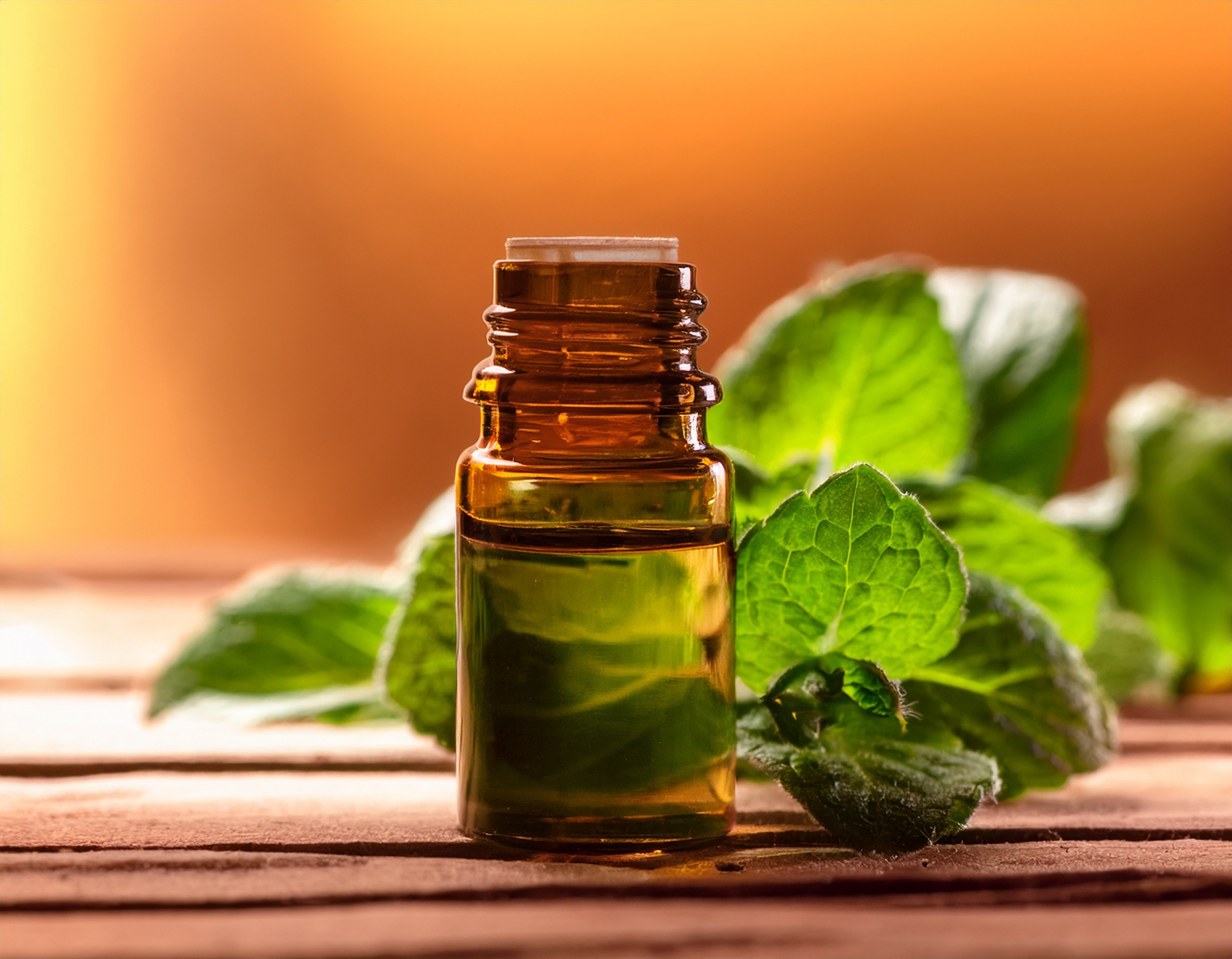 Spearmint Essential Oil Uses: Boost Your Well-Being Firefly Generate An Image Of A Container Of Spearmint Essential Oil Warm Earth Tone Backgro 46902