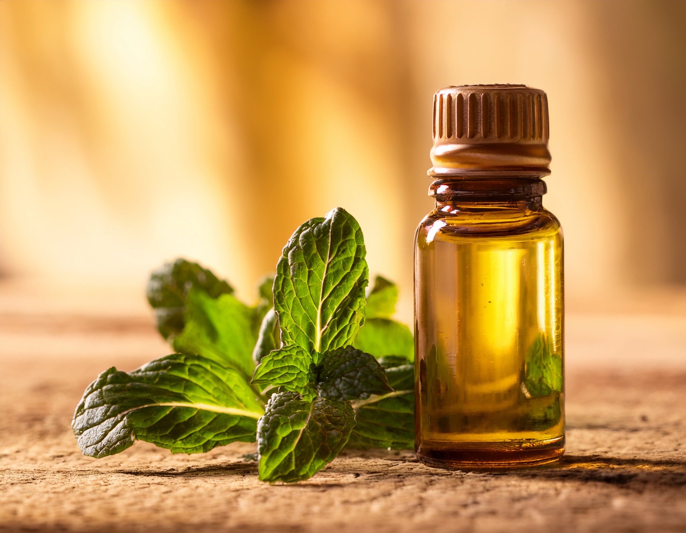 Firefly Generate An Image Of A Container Of Spearmint Essential Oil Warm Earth Tone Backgro 922650