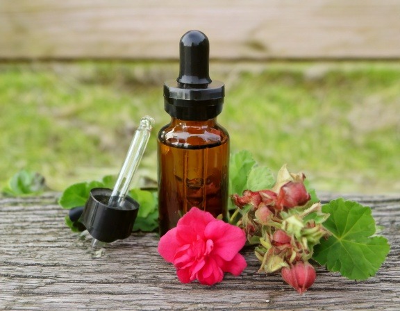 Firefly Generate An Image Of Geranium Essential Oil 348866