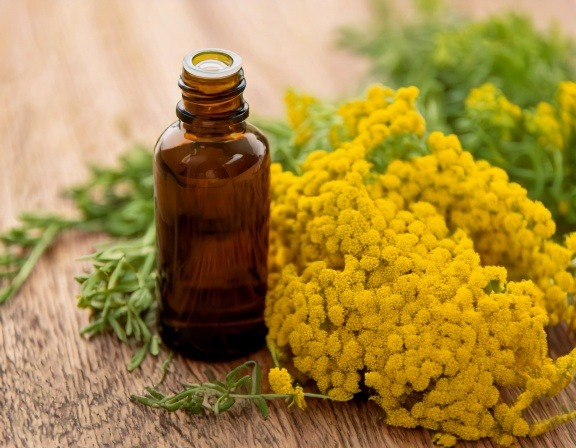 Helichrysum Oil for Post-Breakout Care Firefly Generate An Image Of Helichrysum Essential Oil 558412