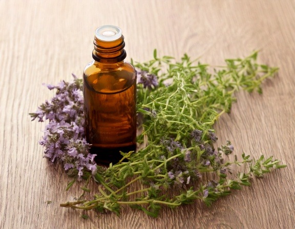 Hyssop Essential Oil: Your Natural Remedy for Colds Firefly Generate An Image Of Hyssop Essential Oil 558412