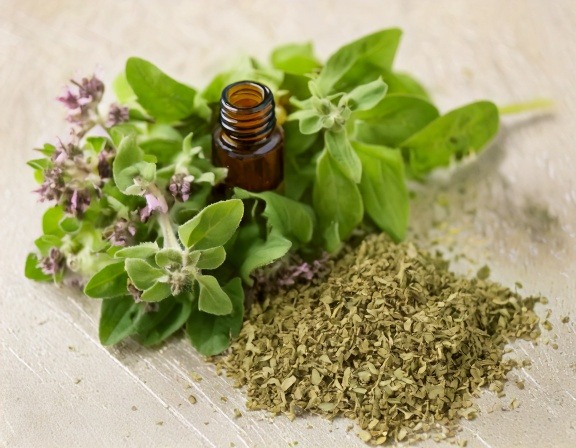 Firefly Generate An Image Of Oregano Leaves And An Essential Oil Bottle 348866