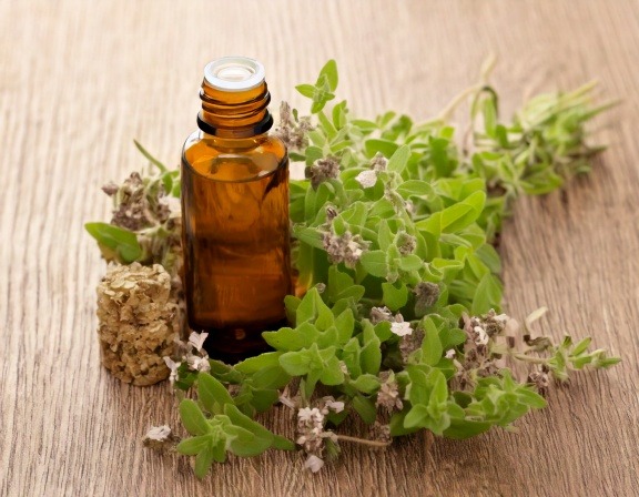 Essential Uses of Sweet Marjoram Oil for Wellness Firefly Generate An Image Of Sweet Marjoram Essential Oil 558412