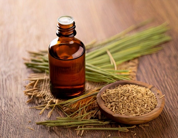 Firefly Generate An Image Of Vetiver Essential Oil 558412