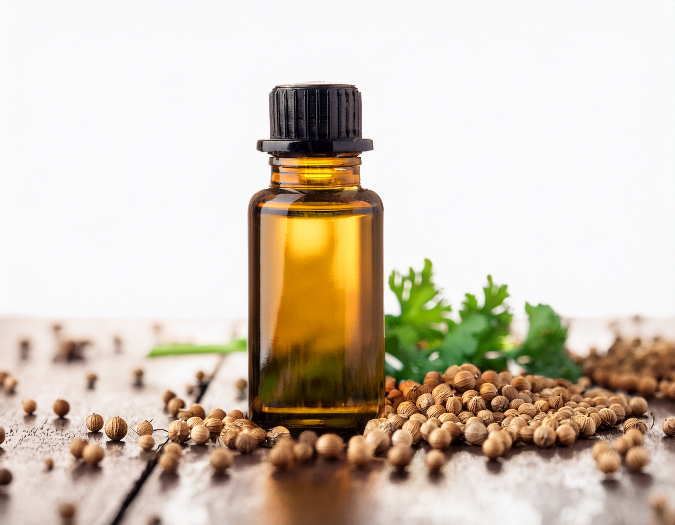 Firefly Generate An Image Of Coriander Essential Oil 507592