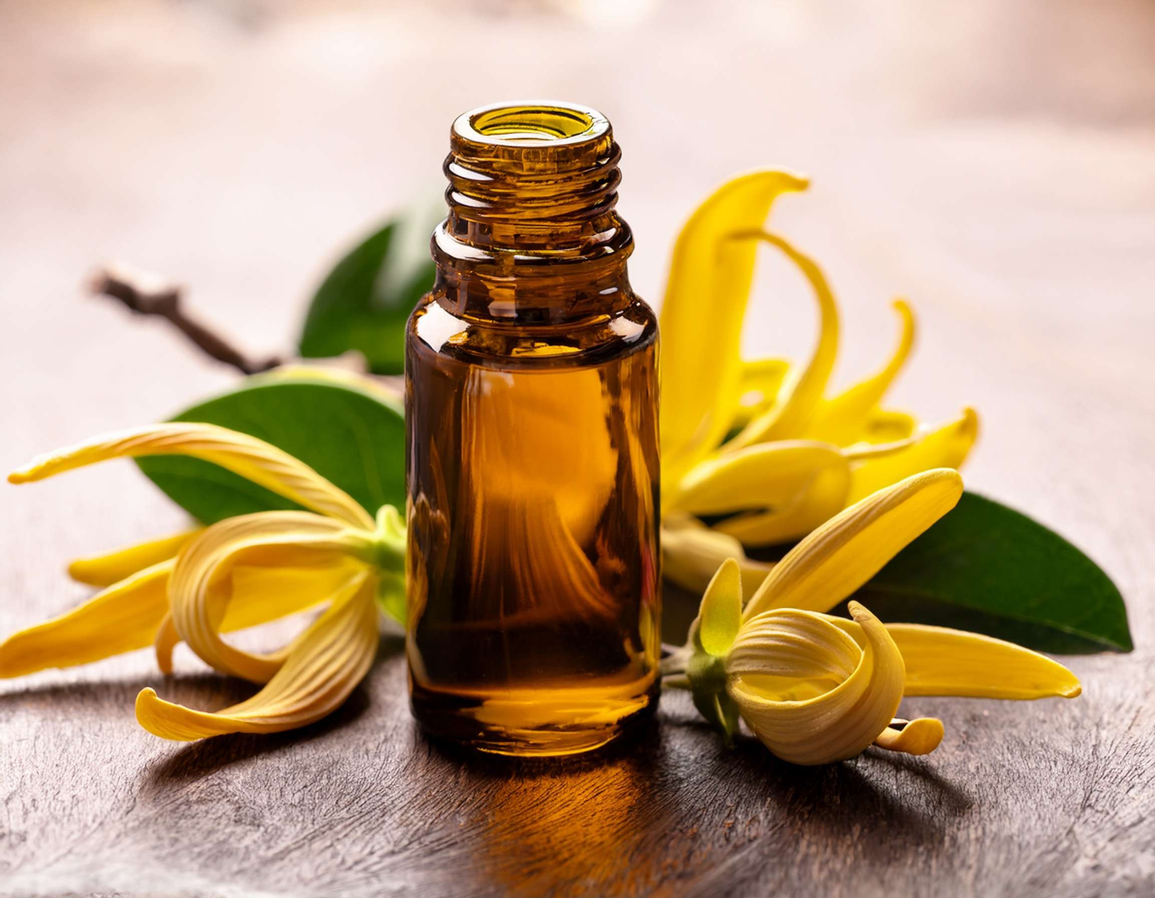 Sleep Better with Ylang Ylang Essential Oil