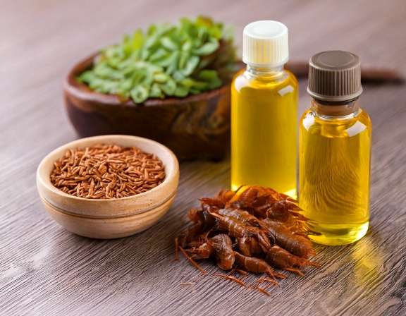 Firefly Create An Image Depicting Essential Oils For Fleas And Ticks 546375