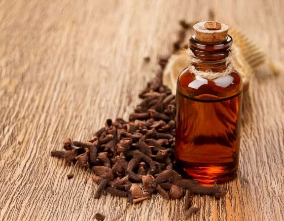 Firefly Create An Image Of Clove Essential Oil Aromatherapy Concept Relaxation Spa And Wel 109256