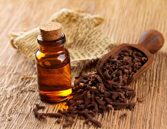 Firefly Create An Image Of Clove Essential Oil Aromatherapy Concept Relaxation Spa And Wel 557763