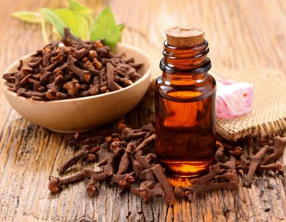 How to Use Clove Essential Oil Safely and Effectively Firefly Create An Image Of Clove Essential Oil Aromatherapy Concept Relaxation Spa And Wel 68809