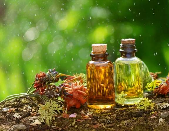 Firefly Create An Image Of Essential Oil Bottles Aromatherapy Herbal In The Garden 377060