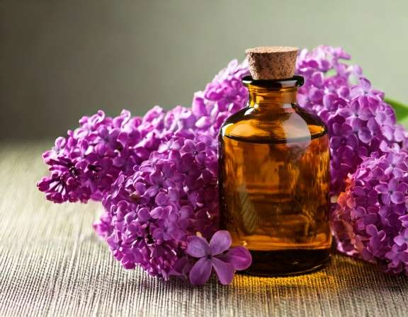 Lilac Essential Oil Benefits for Calm, Scent, and DIY