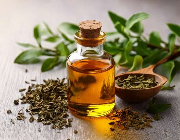firefly generate an image of tea tree essential oil with fresh and dried leaves; aromatherapy 942486