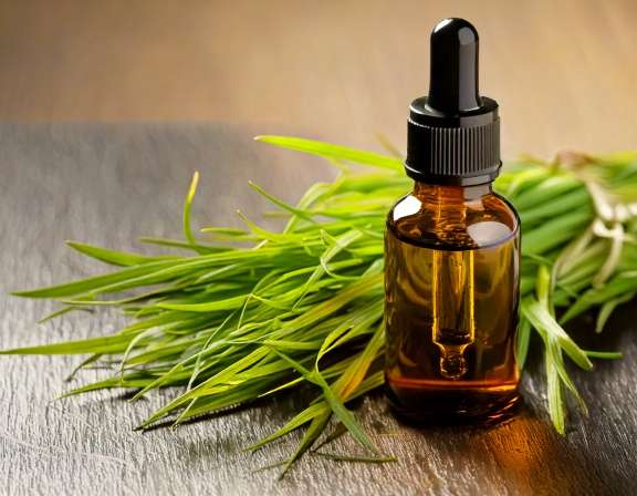 firefly generate an image of vetiver essential oil; aromatherapy concept, dropper bottle with 110440