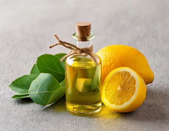 firefly generate an image of lemon eucalyptus essential oil; the use as herbal medicine 303399