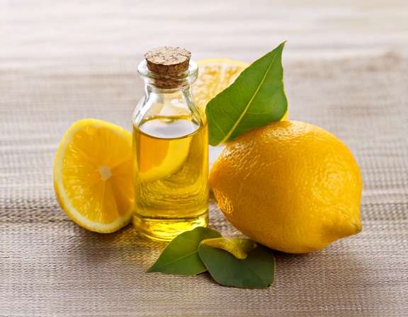 firefly generate an image of lemon eucalyptus essential oil; the use as herbal medicine 498550
